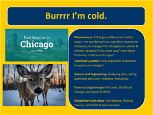 Burr Cold